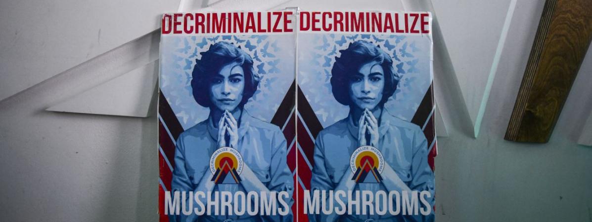 Des affiches en soutien à \"l\'initiative 301\" soumise à référendum, visant à dépénaliser l\'usage de champignons hallucinogènes à Denver, dans le Colorado (Etats-Unis), le 7 mai 2019.&nbsp;