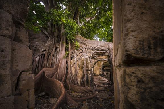 Ruines de l\'ancienne prison des esclaves à à Petit-Canal en Guadeloupe.&nbsp;