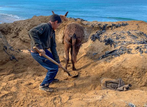 Cote maroc nouvelles tome 2