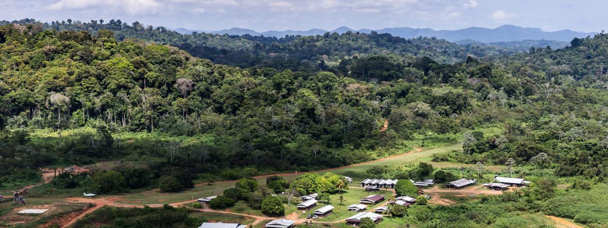 Guyane Lopposition à Un Projet De Mine Dor Géante S