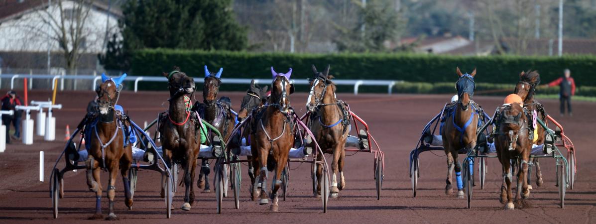 trotteur de course