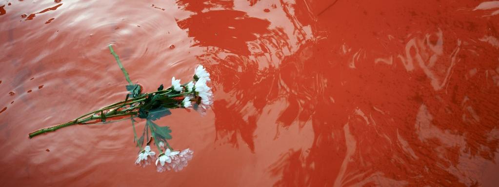 Des fleurs blanches ont Ã©tÃ© jetÃ©es, le 31 juillet 2019, dans la fontaine publique nantaise dont l\'eau a Ã©tÃ© colorÃ©e en rouge aprÃ¨s l\'annonce de la mort de Steve Maia CaniÃ§o.