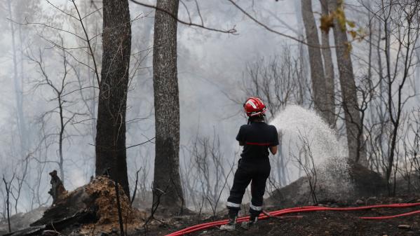 Alpes-Maritimes : les pompiers se préparent à la saison des incendies