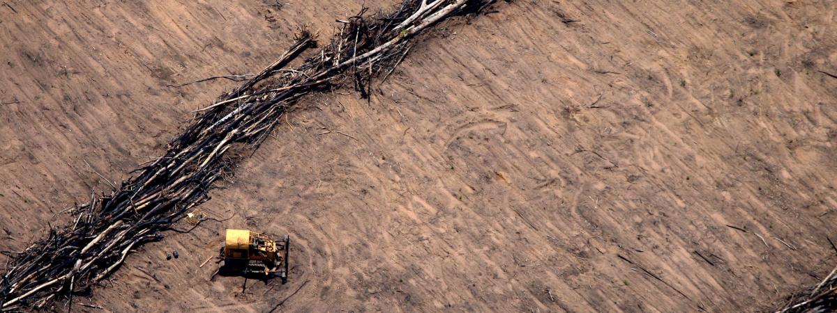 Un tracteur sur un champ de soja, dans l\'Etat du Mato Grosso, dans le centre du Brésil, le 8 décembre 2008.&nbsp;