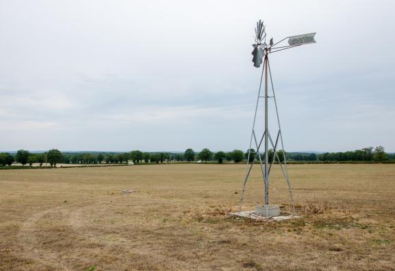 Une prairie brûlée par la sécheresse et la canicule, le 27 août 2019 à Lussat (Creuse).