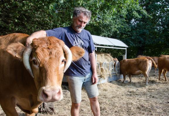 Olivier Thouret avec ses bêtes, le 27 août 2019 à Soubrebost (Creuse).