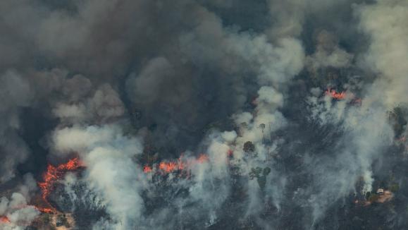 Franceinfo Junior Amazonie Pourquoi Les Forets Brulent Elles