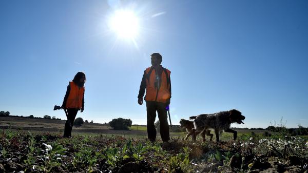 Vrai ou Fake : les chasseurs sont-ils nécessaires pour réguler les écosystèmes ?