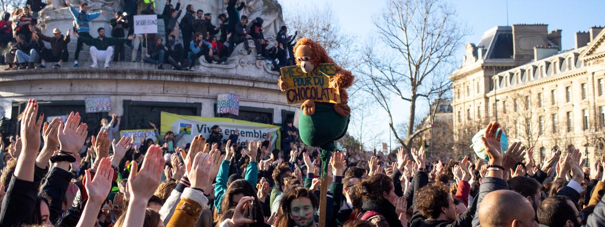 Marche Pour Le Climat Gilets Jaunes Défilé Contre La