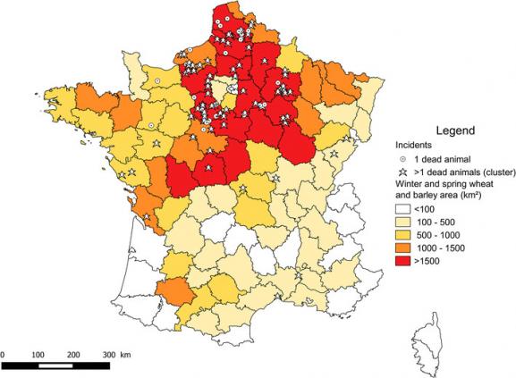 Video Les Causes De L Alarmante Disparition Des Oiseaux En France