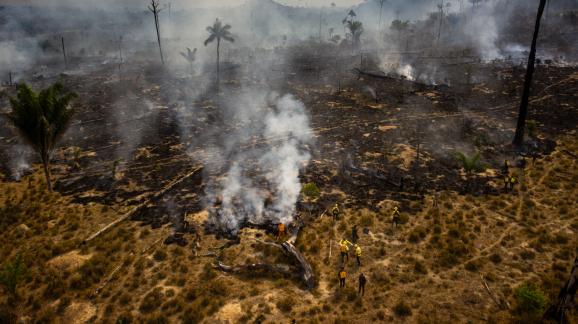 Des membres de l\'agence&nbsp;de l\'environnement&nbsp;brésilienne (Ibama) luttent contre les flammes dans l\'installation rurale amazonienne de Nova Fronteira, dans l\'Etat de Pará, le 3 septembre 2019.