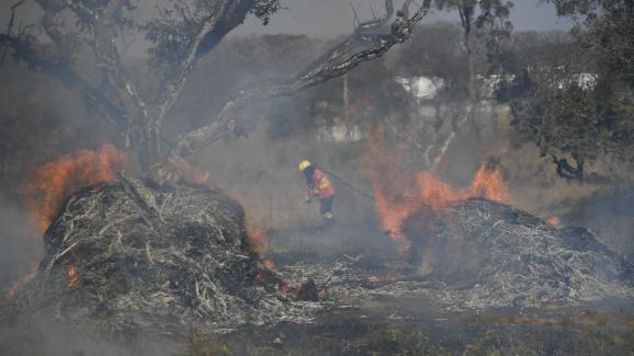 Des pompiers luttent contre un incendie&nbsp;le 21 août 2019, près de Brasilia, dans le Cerrado brésilien, un paysage de savane où se développe la culture du soja.