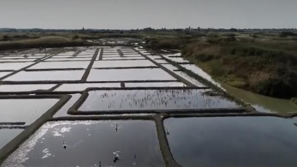 Loire-Atlantique : Guérande, la cité des maîtres du sel