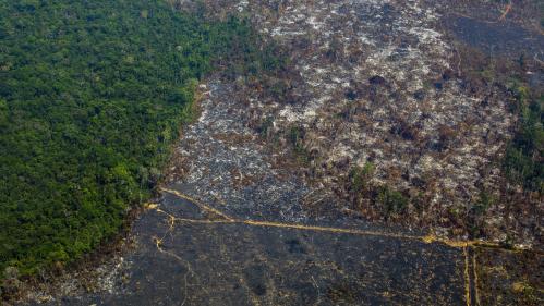 De nouveaux incendies ravagent l'Amazonie