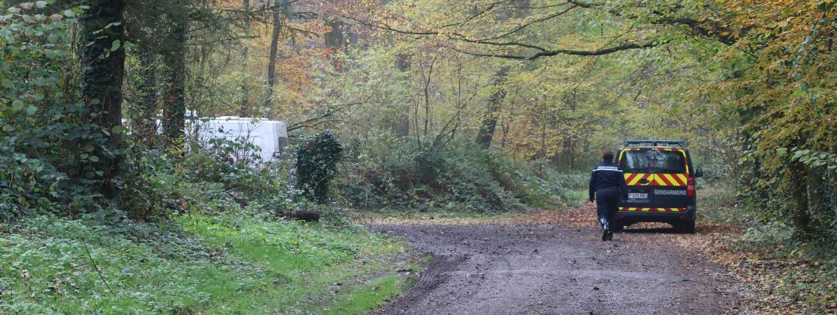 Un fourgon de gendarmerie, le 17 novembre 2019, près du lieu où le corps d\'une jeune femme enceinte a été retrouvé, dans la forêt de Retz (Aisne).