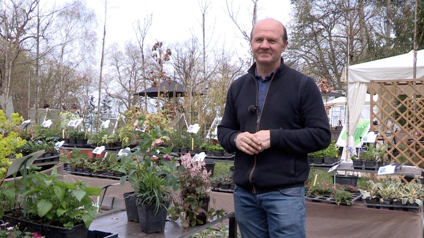 Jardin Trois Plantes Pour Une Jardiniere Belle Toute L Annee