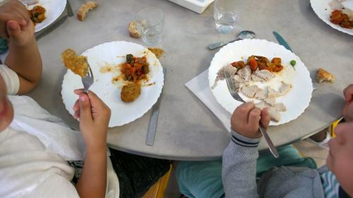 Vienne : certaines cantines scolaires tendent vers des repas de plus en plus locaux