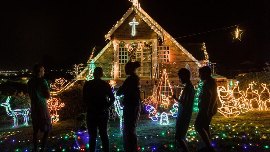 Afrique du Sud : pour fêter Noël, les célèbres jardins botaniques de Durban s’habillent de lumière