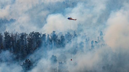 EN IMAGES. Les gigantesques incendies en Australie ont tué au moins quatorze personnes depuis septembre