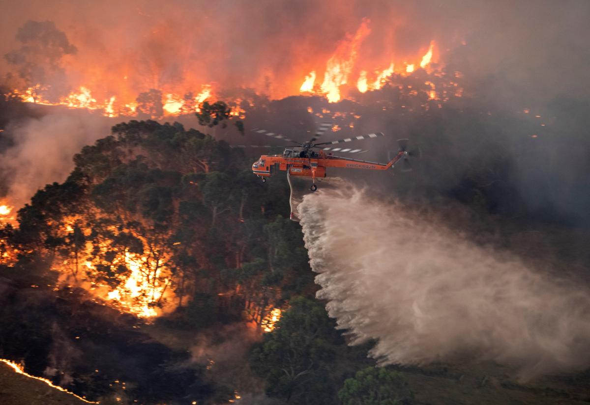  EN  IMAGES Les gigantesques incendies en  Australie  ont tu  