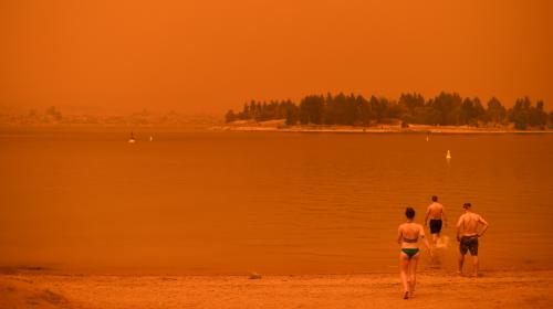 Feux de forêts : l'Australie, pourtant habituée aux 