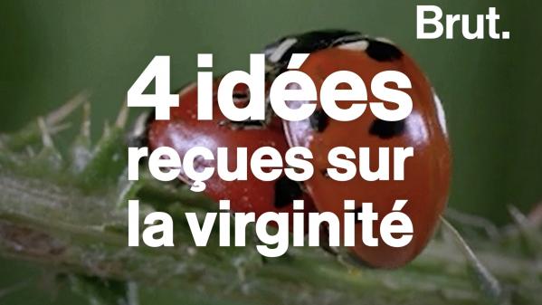 VIDEO. La défloration, la douleur... 4 idées reçues sur la virginité