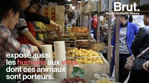 VIDEO. Coronavirus : le gouvernement chinois contraint d'agir face à la vente illégale d'animaux sauvages