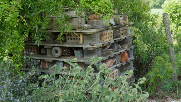 Jardin Installez Vos Hotels A Insectes