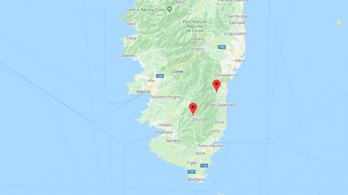 Corse : l'incendie, toujours en cours, a brûlé 1 000 hectares, 