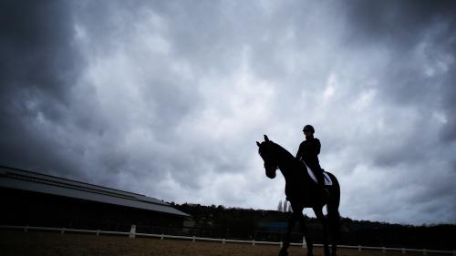 Equitation : une cavalière professionnelle affirme avoir été violée par son ancien entraîneur