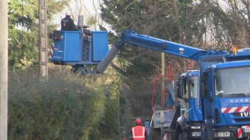 Tempête Ciara : la course contre-la-montre pour rétablir l'électricité