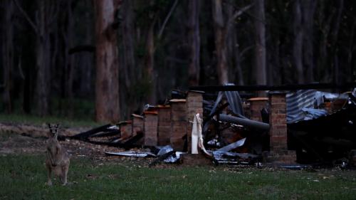 Australie : tous les incendies qui dévastaient l'Etat le plus touché ont été maîtrisés