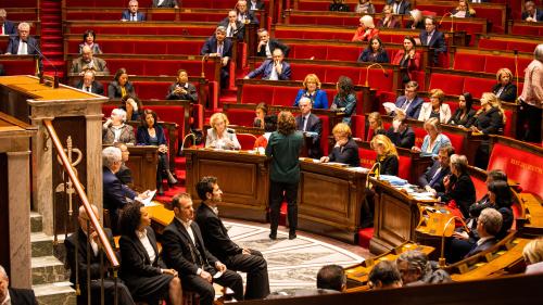 La réforme des retraites arrive à l'Assemblée : à quoi faut-il s'attendre dans les prochaines semaines ?