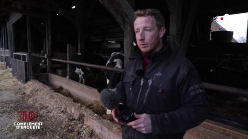 VIDEO. Pour lutter contre l'agribashing sur les réseaux sociaux, cet éleveur s'est fait 