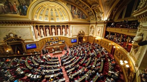 Lutte contre la haine sur internet : le Sénat maintient son opposition à la mesure phare du texte