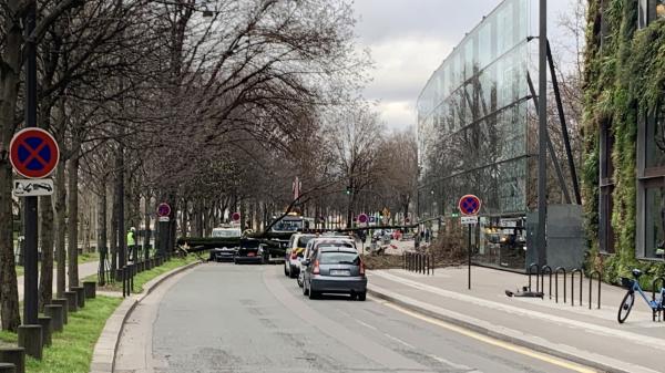 Paris : un automobiliste tué par la chute d'un arbre due aux intempéries