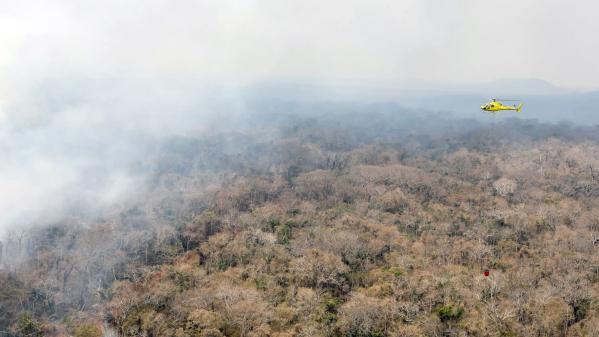 Incendies en Amazonie : un triste record