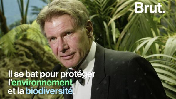 VIDEO. De charpentier à star d'Hollywood... La vie d'Harrison Ford