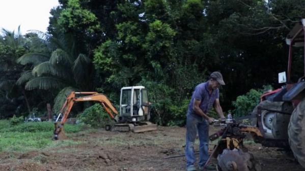 VIDEO. Antilles : le poison du chlordécone