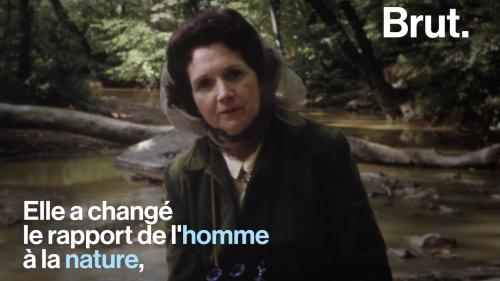 VIDEO. La vie de Rachel Carson, biologiste marin et environnementaliste américaine