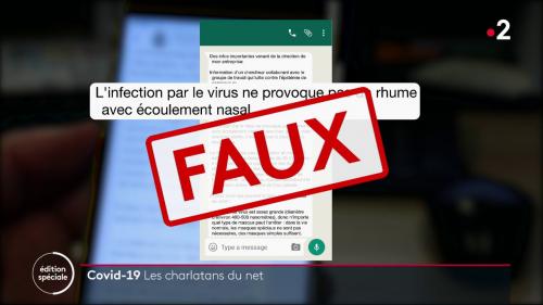 VIDEO. Covid-19 : Sur les réseaux sociaux, des messages alarmistes... et souvent mensongers