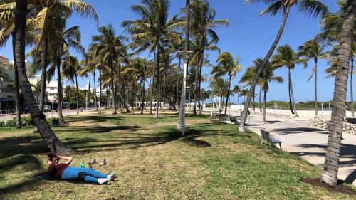 États-Unis : les plages de Floride pleines de monde malgré le coronavirus