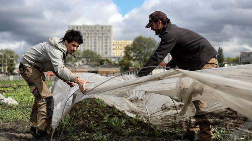 Vente directe : un succès durable ?