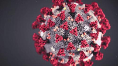 DIRECT. Coronavirus : regardez l'édition spéciale du 