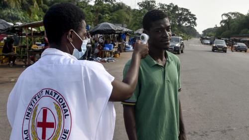 Pendant le Covid-19, les autres épidémies continuent et l'OMS craint une recrudescence de la rougeole