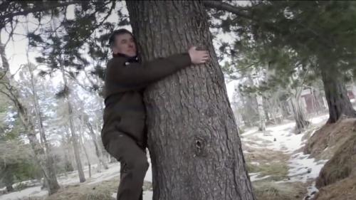 Islande : face au stress, des câlins aux arbres