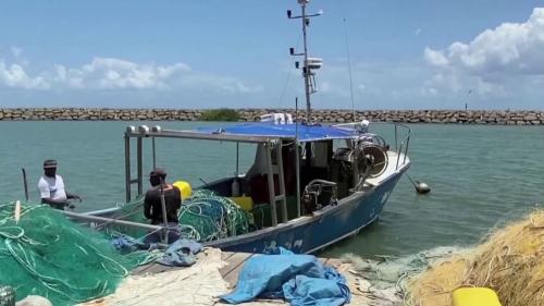 Outre-mer : les pêcheurs se mettent à la livraison, pour tenter de sauver leur activité