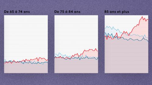 INFOGRAPHIES. Coronavirus : on décrypte la surmortalité de ces dernières semaines en France en quatre graphes