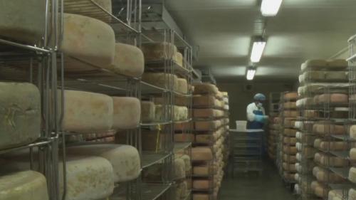 Pyrénées-Atlantiques : les fromagers béarnais ont trop de stock