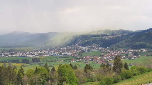 EN IMAGES. Un nuage de pollen colore de jaune les paysages du Haut-Doubs